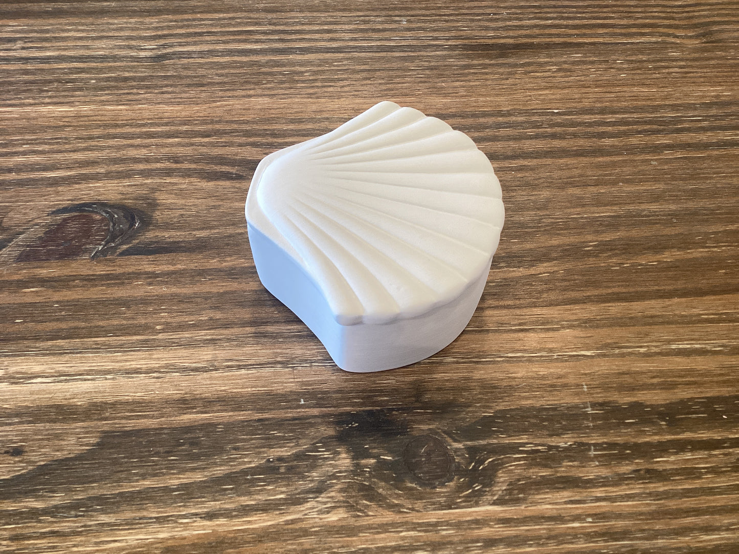 SeaShell Box