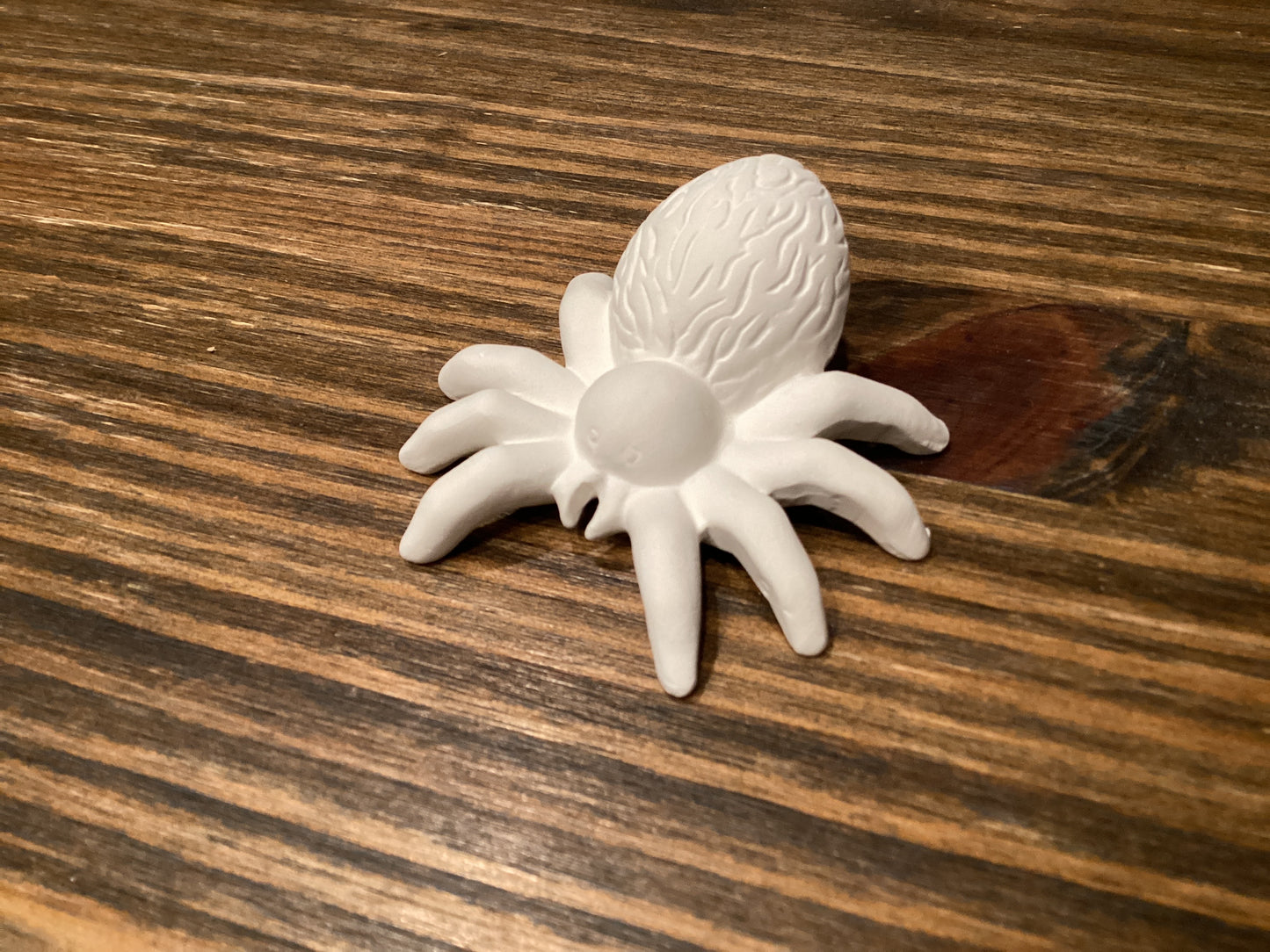 Sol the Spider