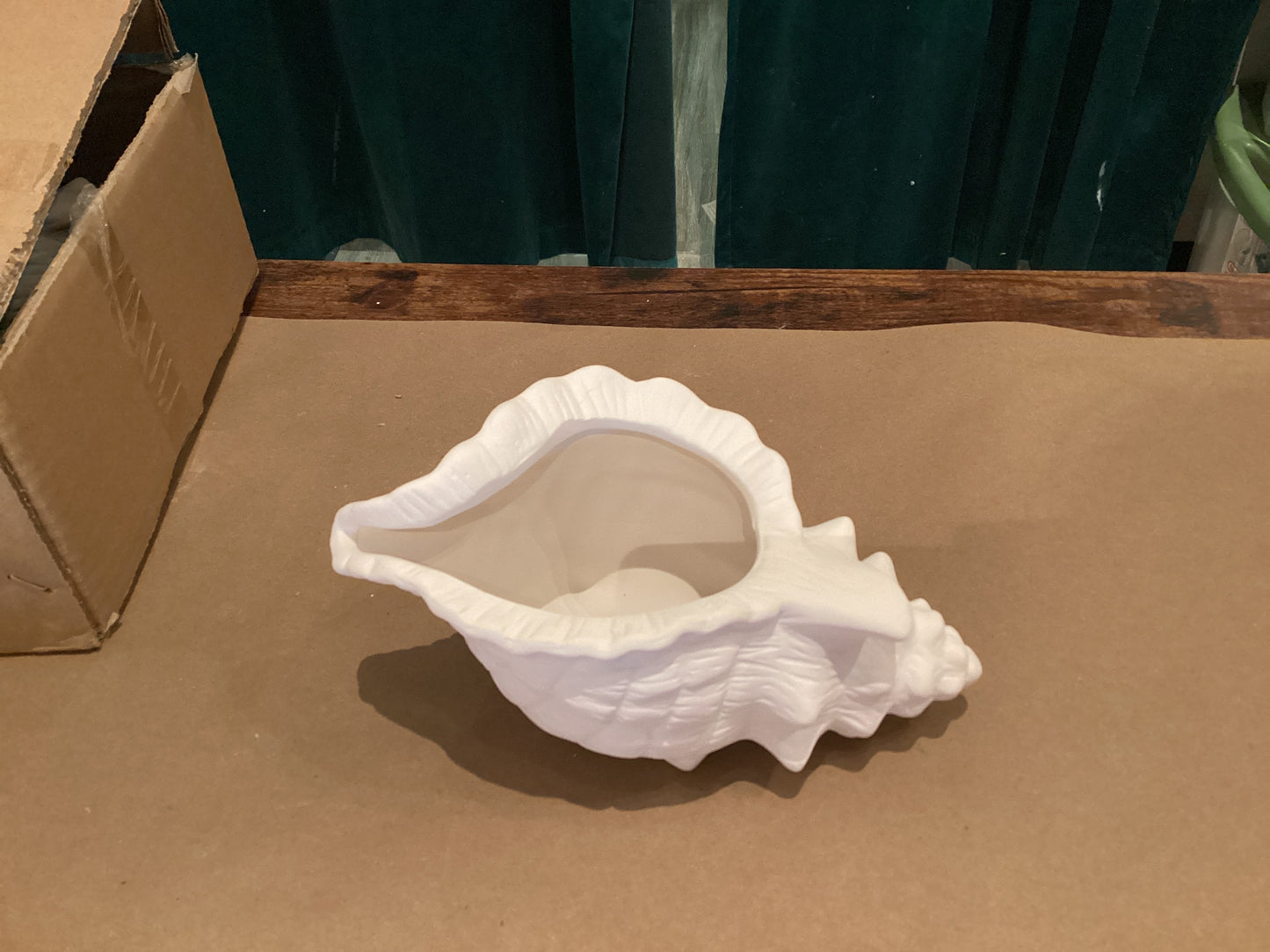 Conch Shell Planter