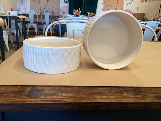 Barky Pet Bowl