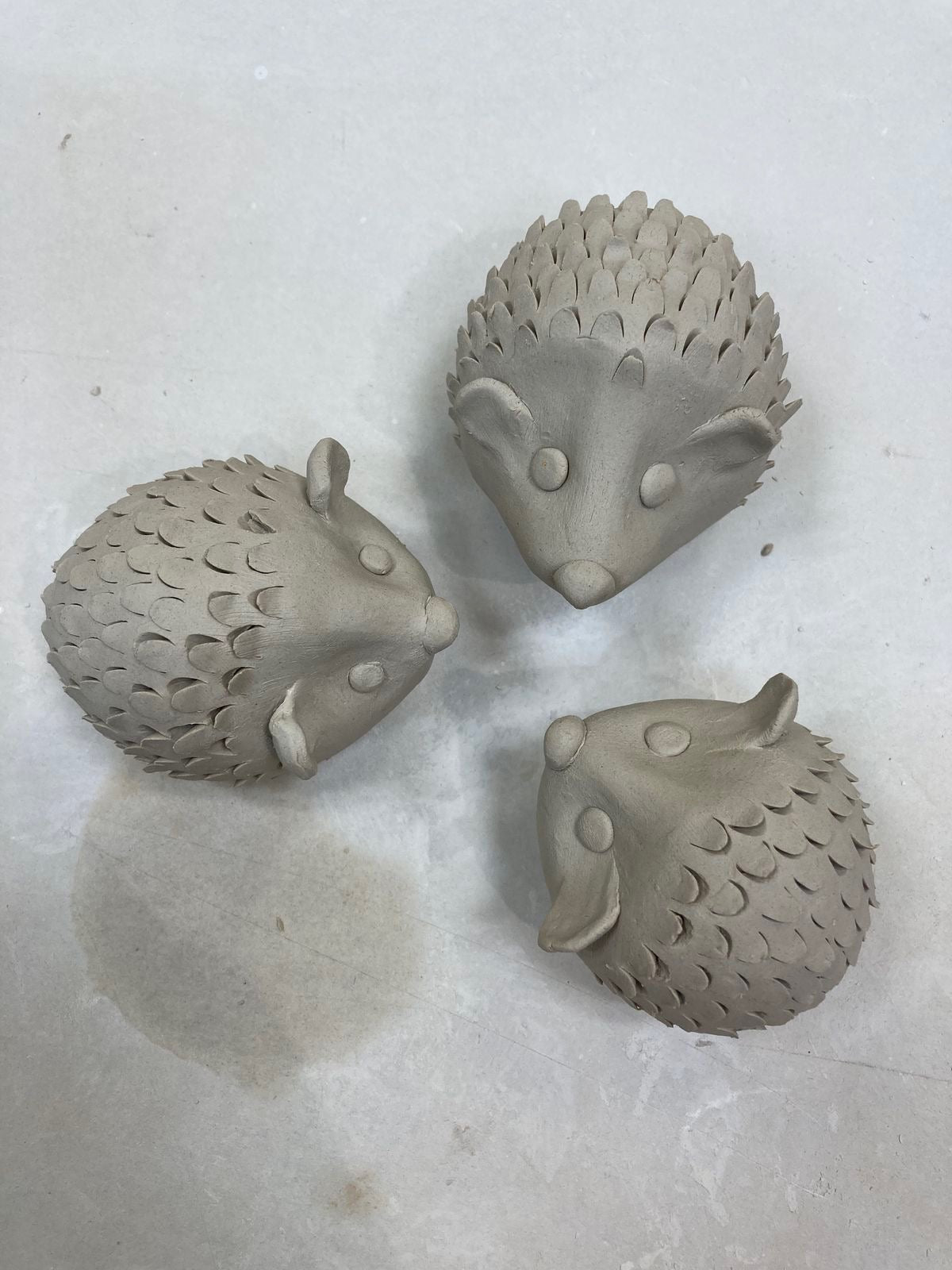 Clay 101: Hedgehogs with Morgan | Ages 14+