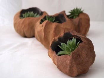 Clay 101: Hand building with Morgan | Planters | All Ages